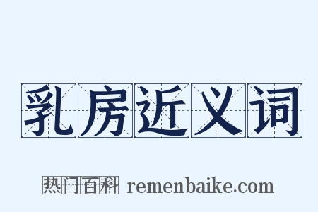 乳房近义词是什么意思的图片